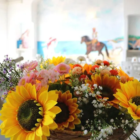 מלון Piccolo Paradiso 3*